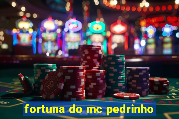 fortuna do mc pedrinho