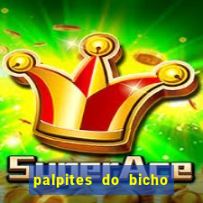 palpites do bicho no celular