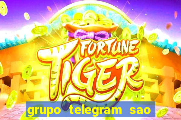 grupo telegram sao jose do rio preto