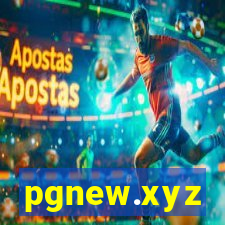 pgnew.xyz