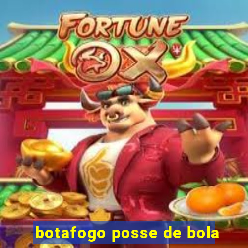 botafogo posse de bola