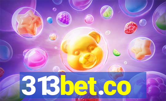 313bet.co