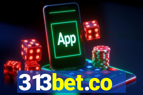 313bet.co