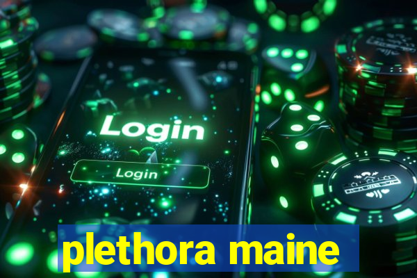 plethora maine