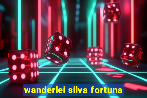 wanderlei silva fortuna