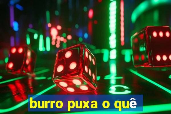 burro puxa o quê