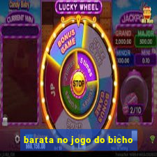 barata no jogo do bicho