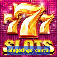 bingotingo canva pro gratis