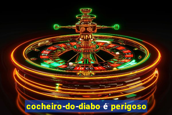 cocheiro-do-diabo é perigoso