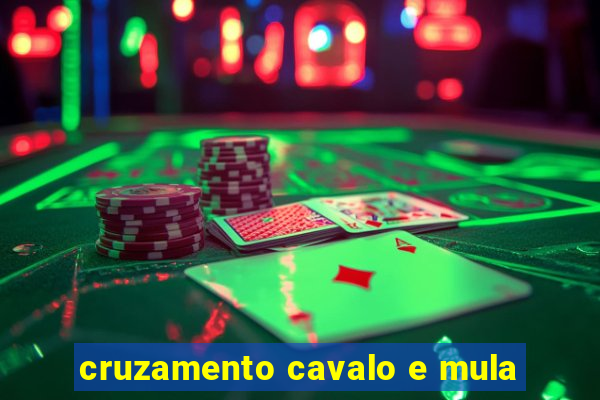 cruzamento cavalo e mula