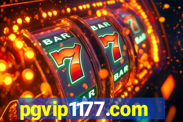 pgvip1177.com