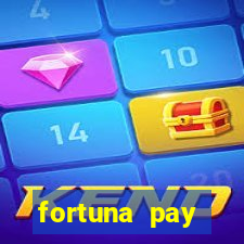 fortuna pay consultoria financeira ltda