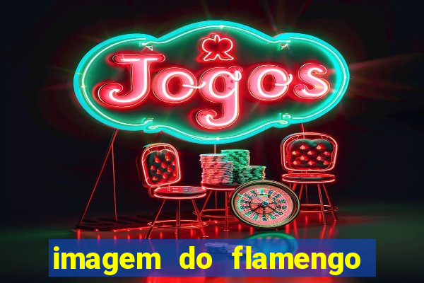imagem do flamengo para perfil