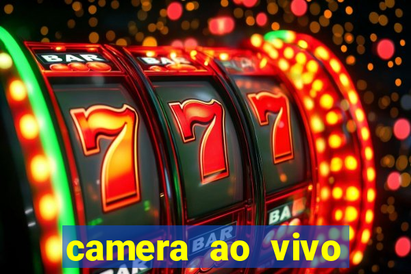 camera ao vivo porto rico