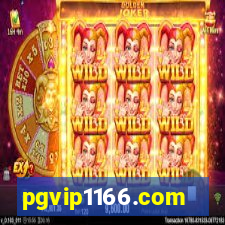 pgvip1166.com