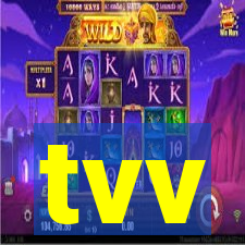tvv-pg.com