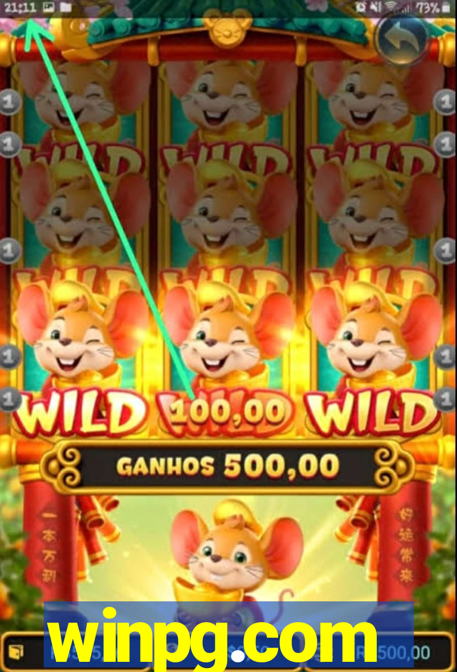 winpg.com