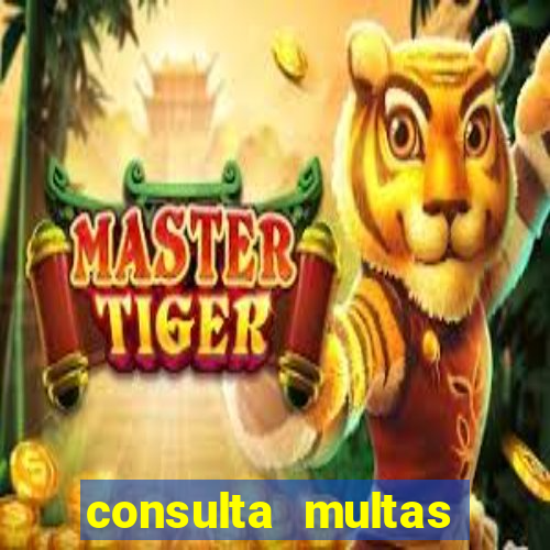 consulta multas detran mg