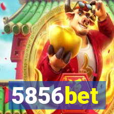 5856bet