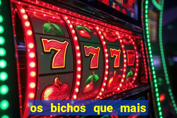 os bichos que mais saem na loteria federal