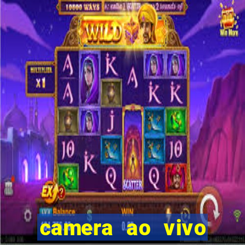 camera ao vivo beto carrero