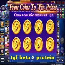 tgf beta 2 protein