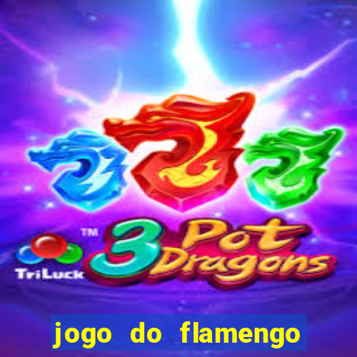 jogo do flamengo ao vivo rede canais