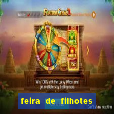 feira de filhotes porto alegre