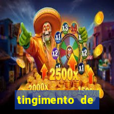 tingimento de roupas porto alegre