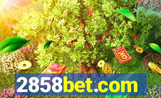 2858bet.com