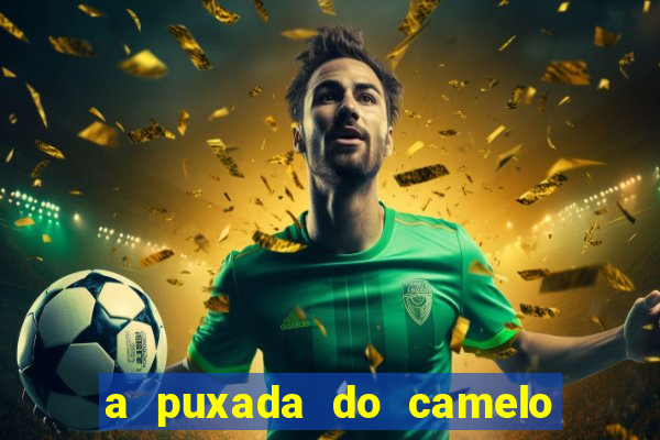 a puxada do camelo no jogo do bicho