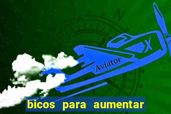 bicos para aumentar a renda