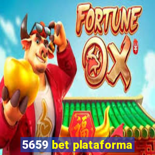 5659 bet plataforma