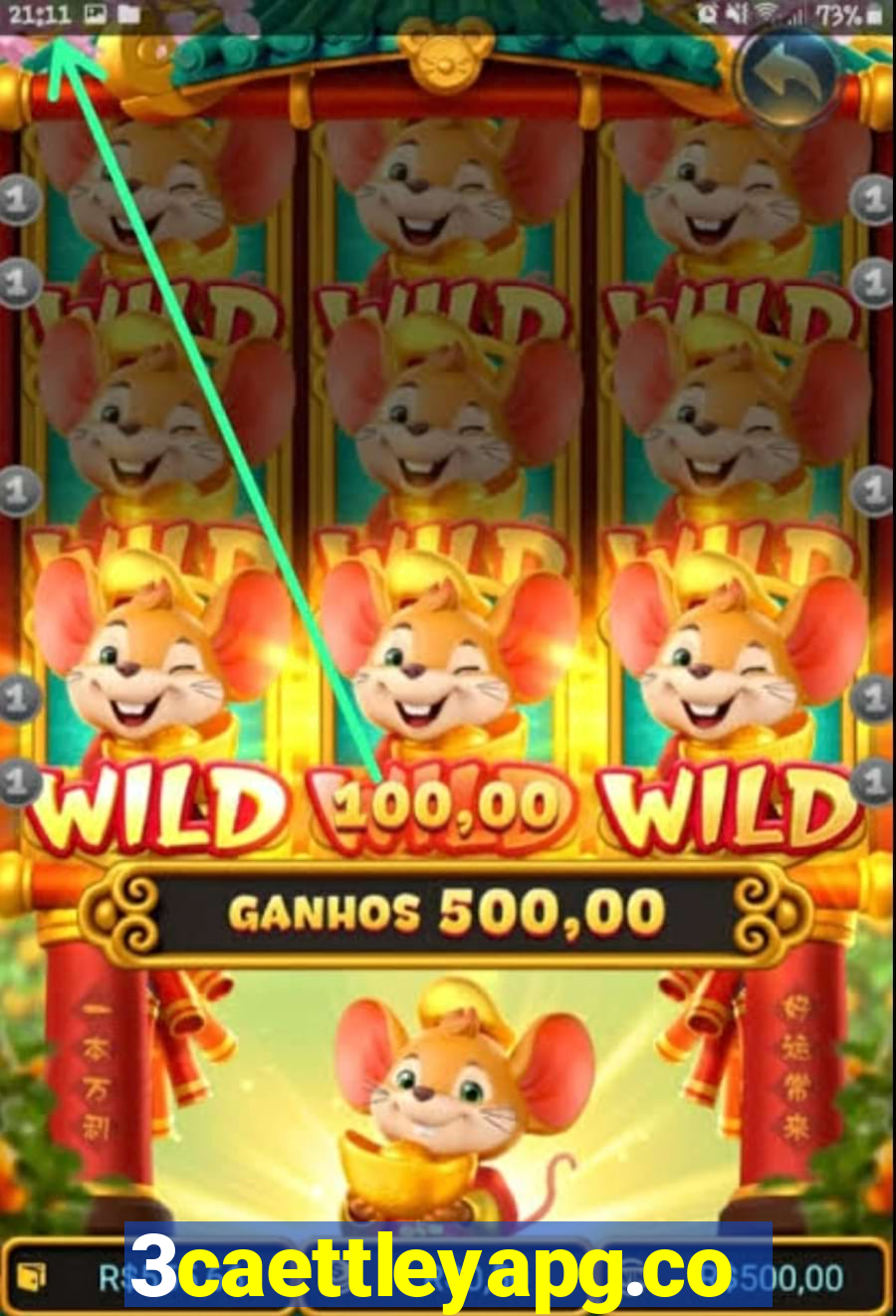 3caettleyapg.com