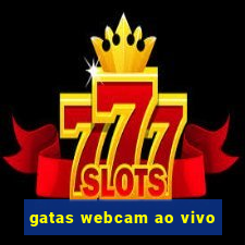 gatas webcam ao vivo