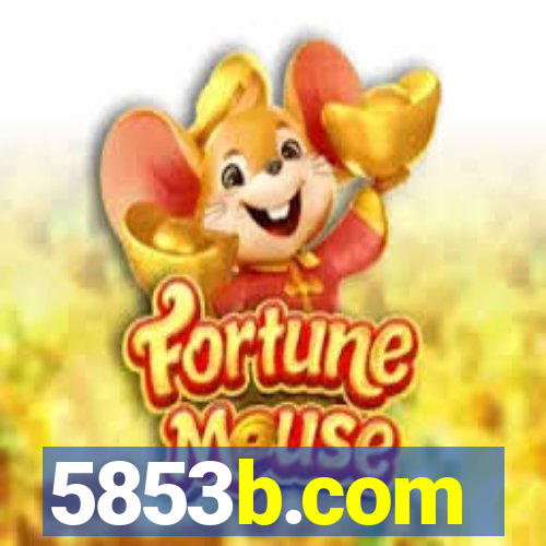5853b.com