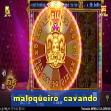 maloqueiro cavando sua própria cova portal do zacarias