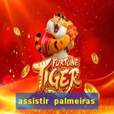 assistir palmeiras x botafogo multicanais