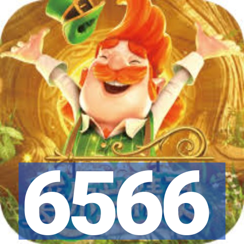 6566