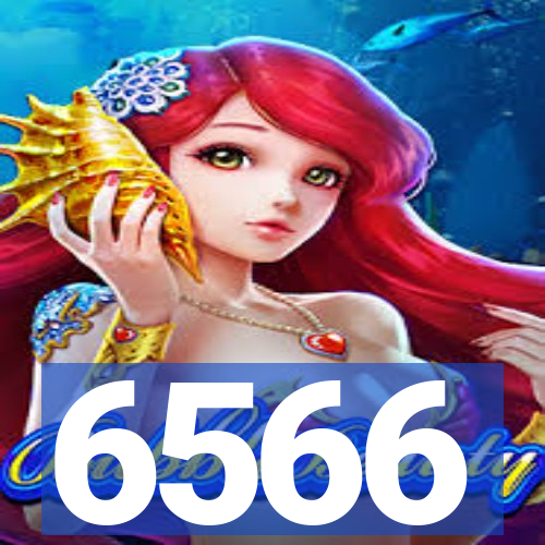 6566