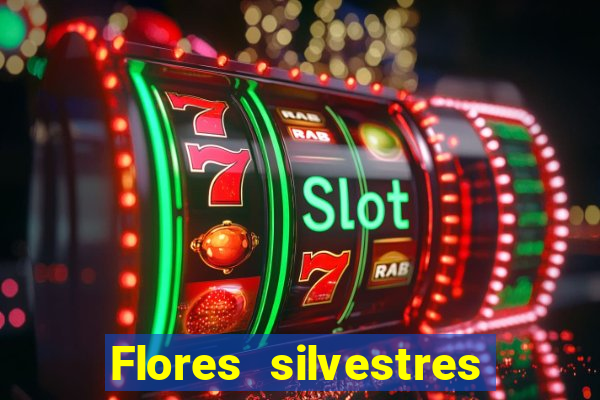 Flores silvestres brasileiras 25