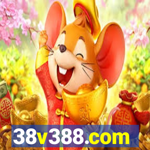 38v388.com