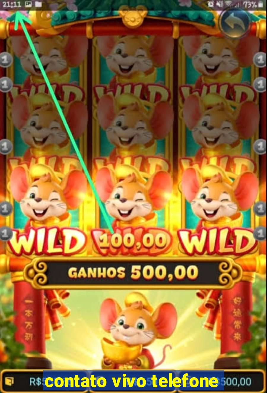 contato vivo telefone