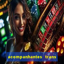 acompanhantes trans porto seguro