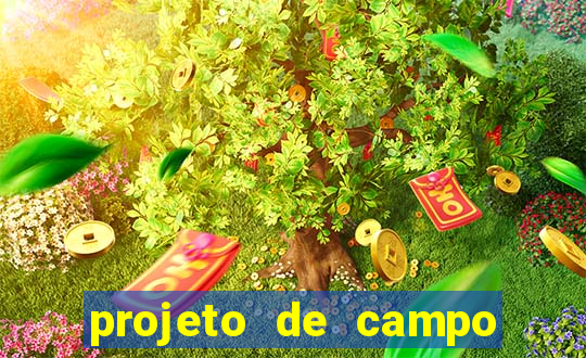 projeto de campo de futebol em cad
