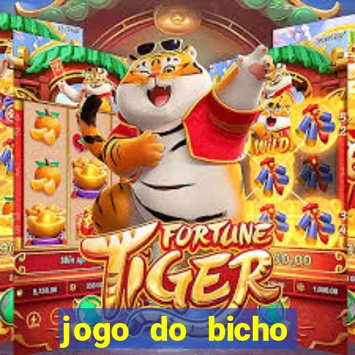 jogo do bicho tipos de apostas