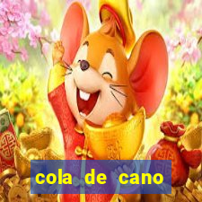 cola de cano quanto tempo para secar