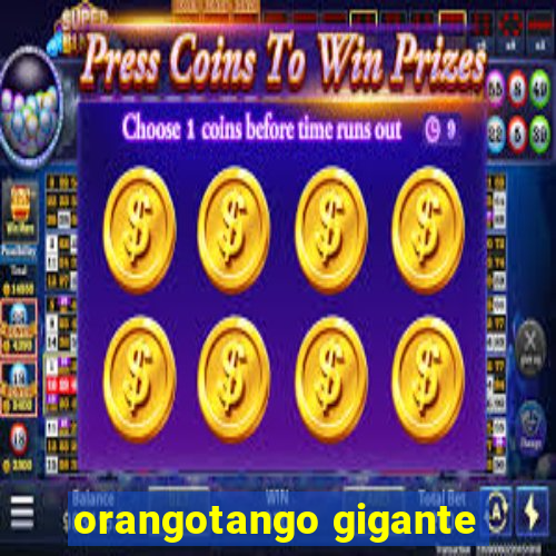 orangotango gigante