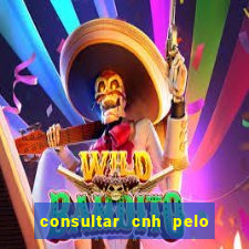 consultar cnh pelo cpf sp