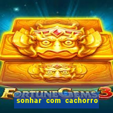 sonhar com cachorro sem cabeca